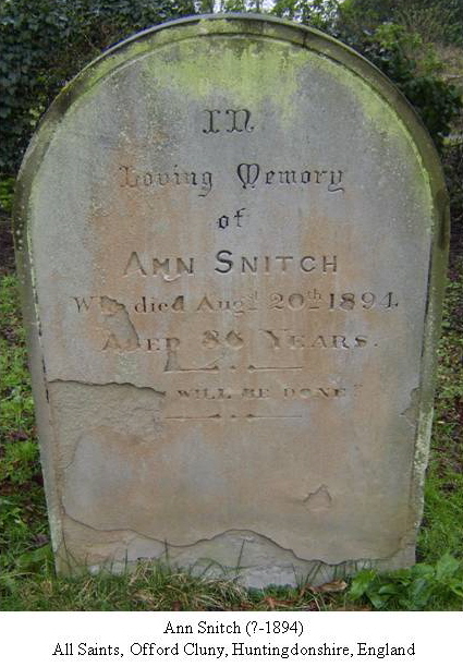 Grave Ann Snitch 1894